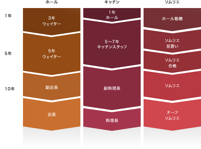 新卒入社時のキャリアパス例